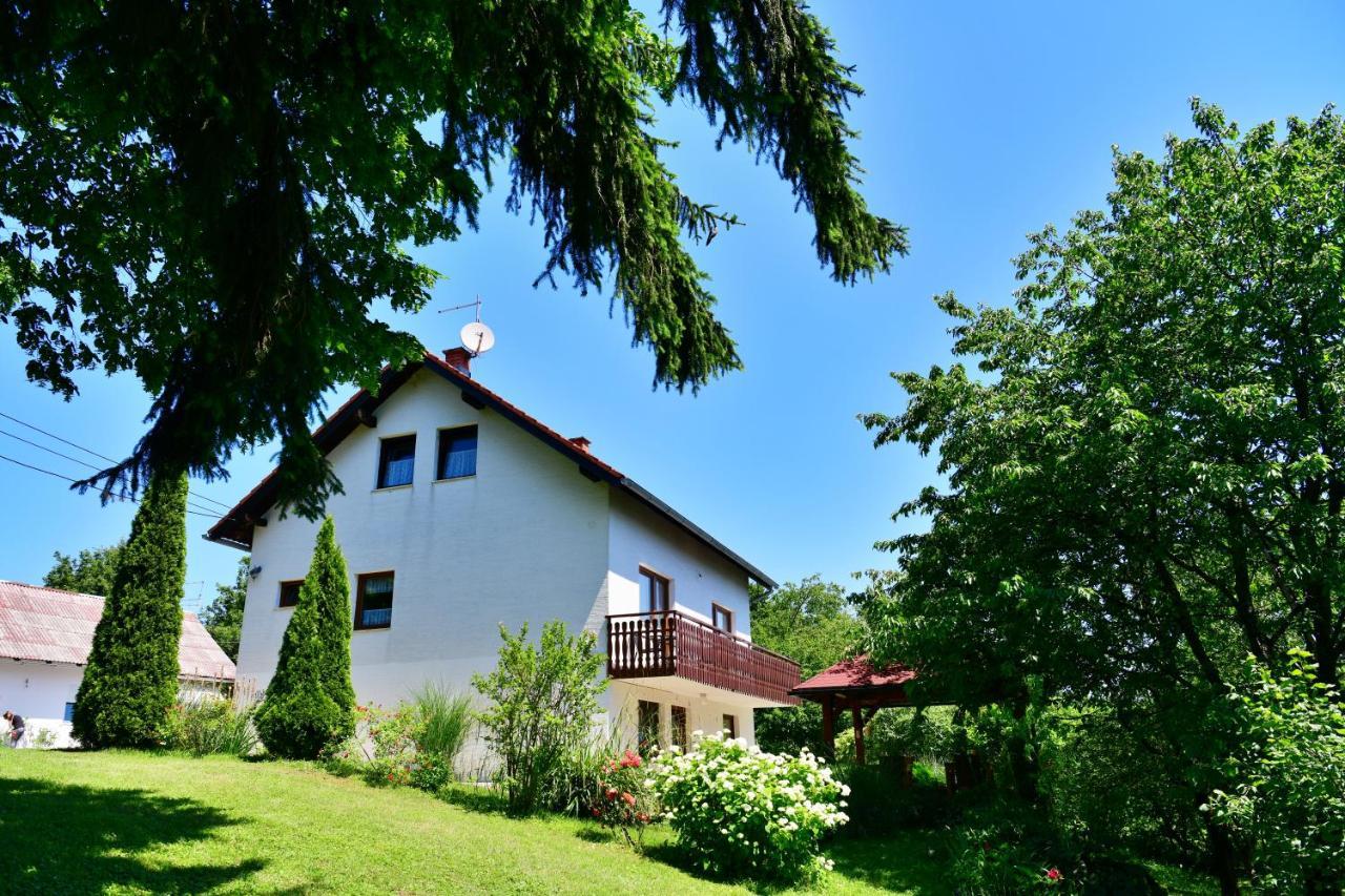Apartment And Rooms Ivancica Selište Drežničko Exterior foto